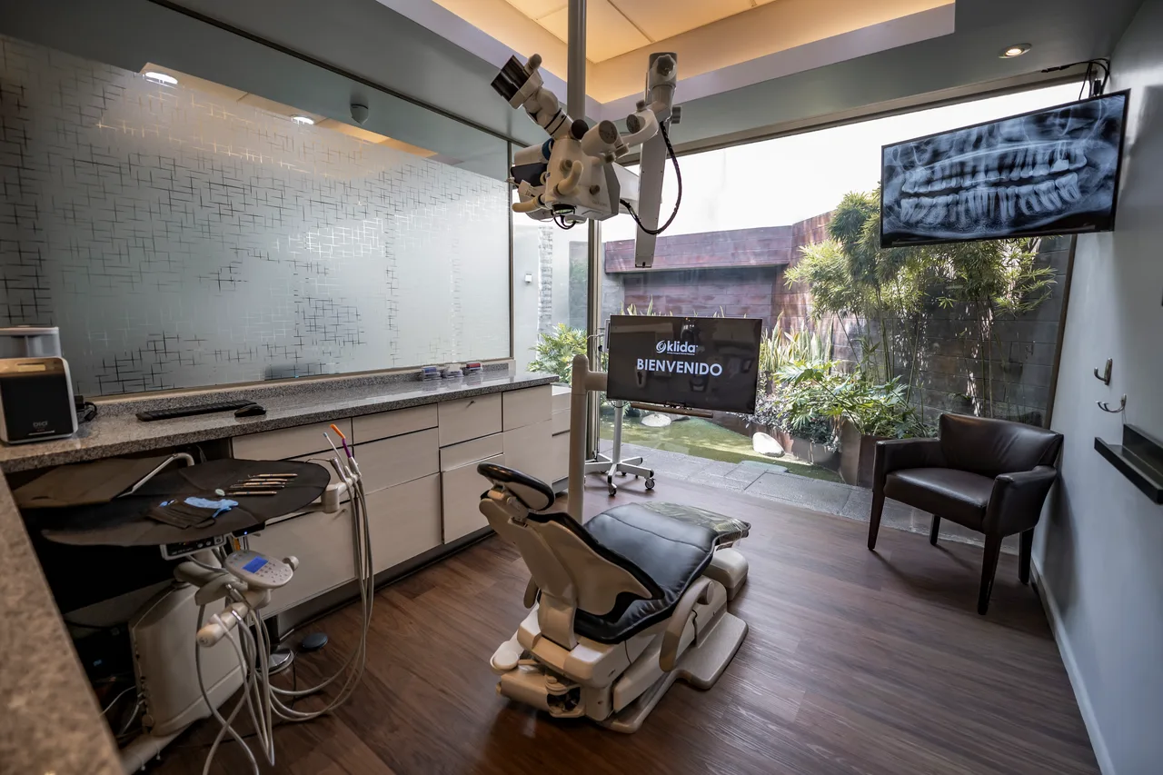 Consultorio de Klida con sillón dental, lámpara y ventanal al jardín
