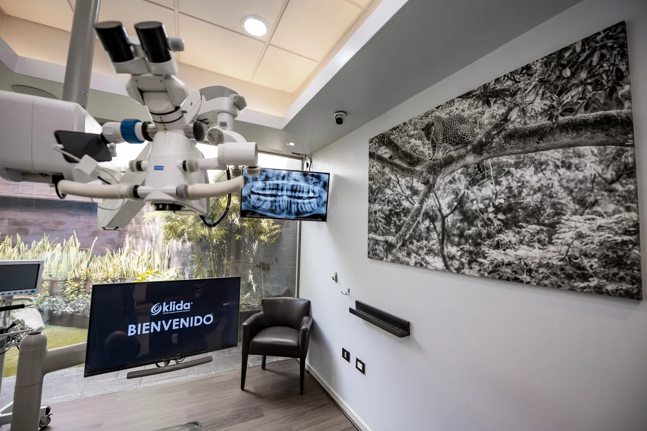 Microscopio operatorio junto al sillón, con el jardín detrás